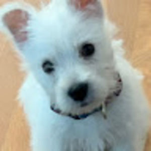 Meet your Posher, Lillian